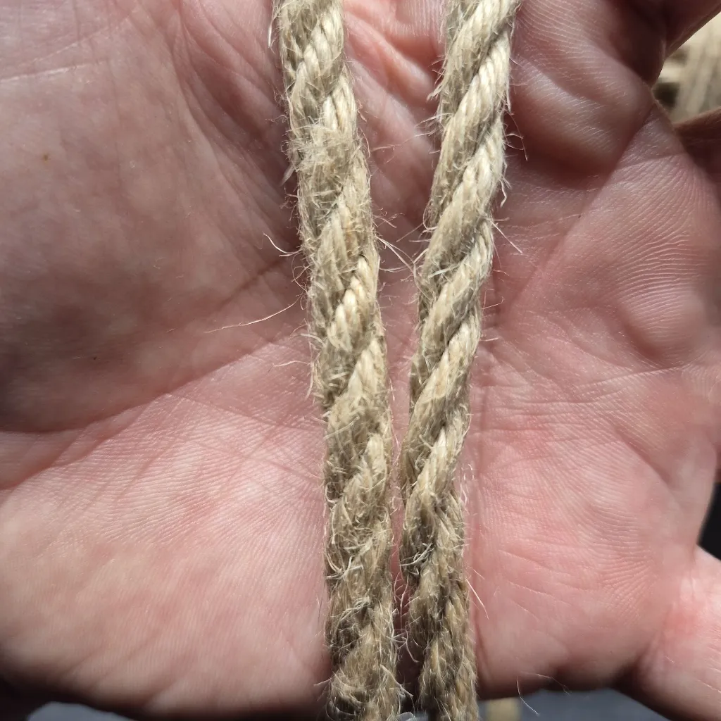 3ply vs 1ply.webp