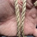 3ply vs 1ply.webp